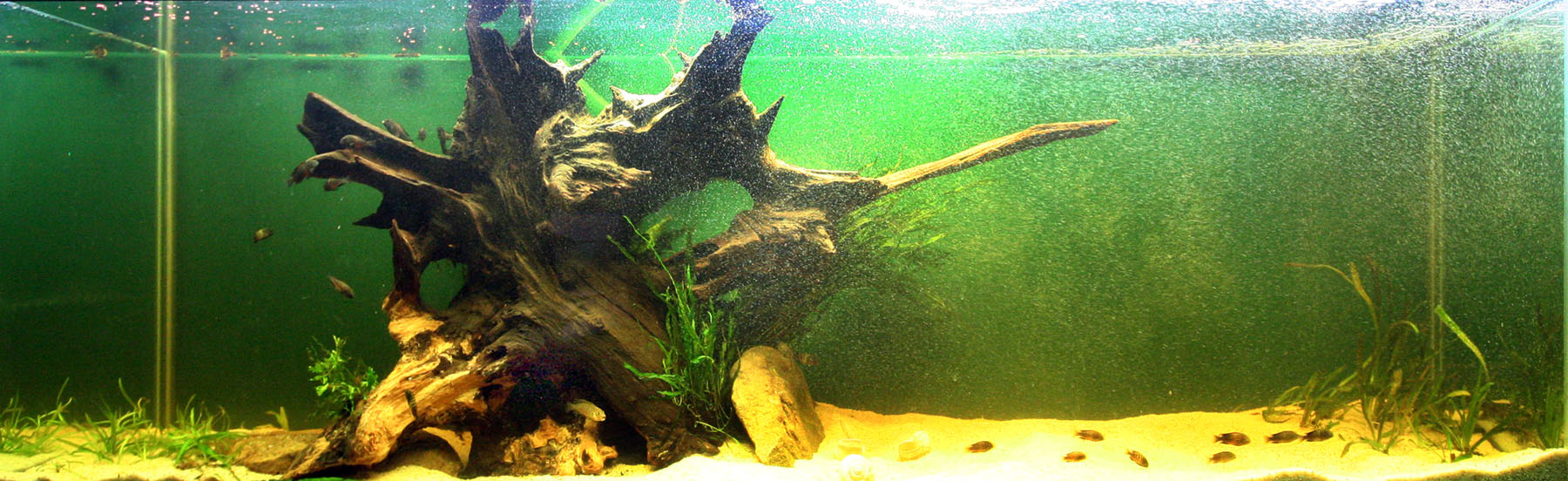 125G