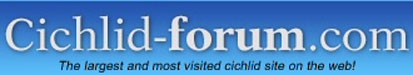 Cichlid-forum Logo