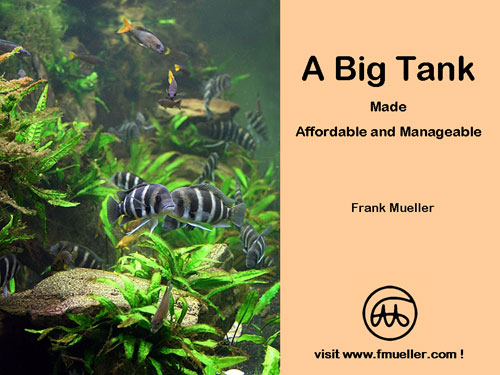 A Big Tank Made Affordable And Manageable