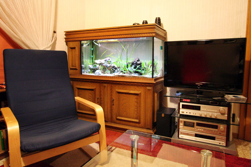 Tanganyika+cichlids+list