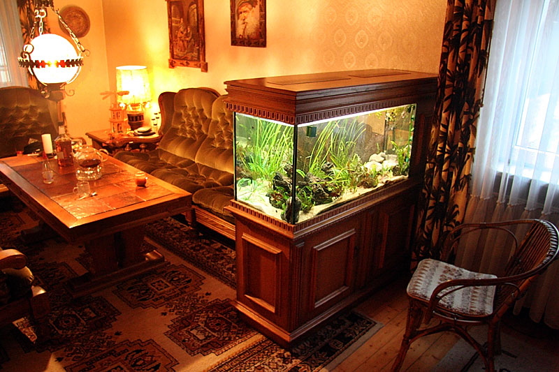 tank in a living room
