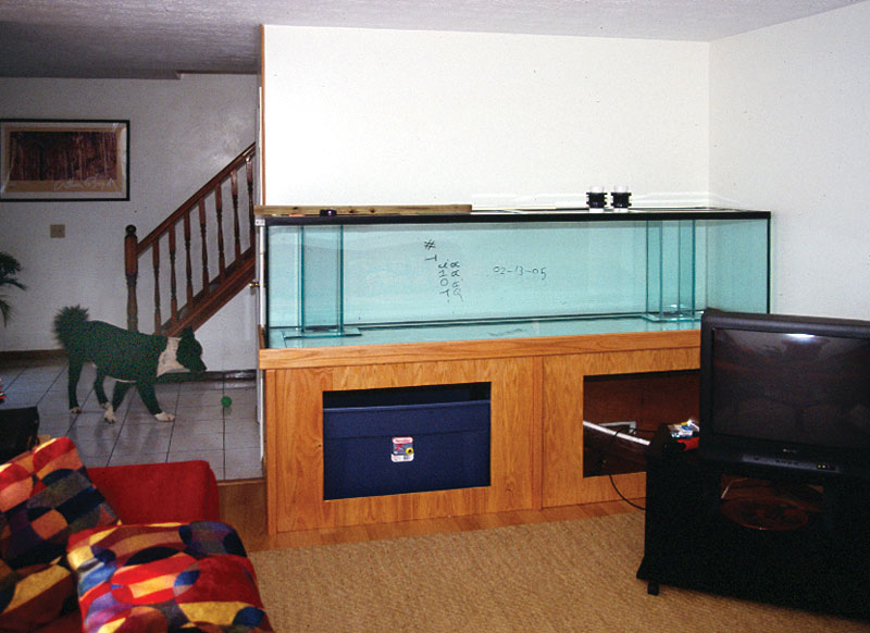 Tank, stand and canopy in garage