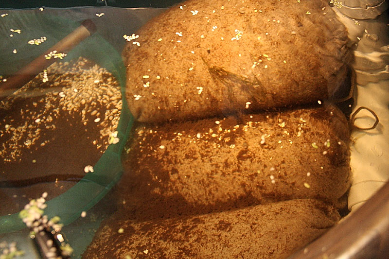 View into sump showing micron filter bags