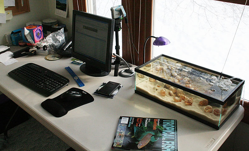 5G Shelldweller Setup