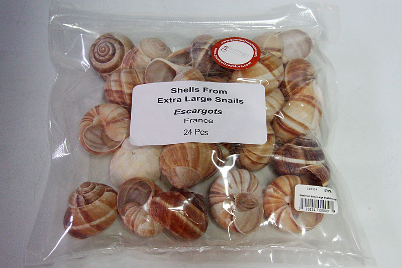 Escargot Shells