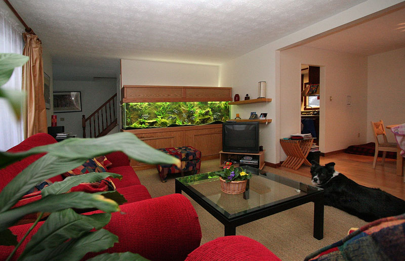 240G in living room