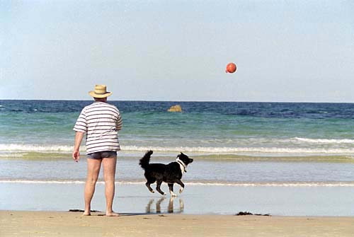 friends-at-the-beach.jpg