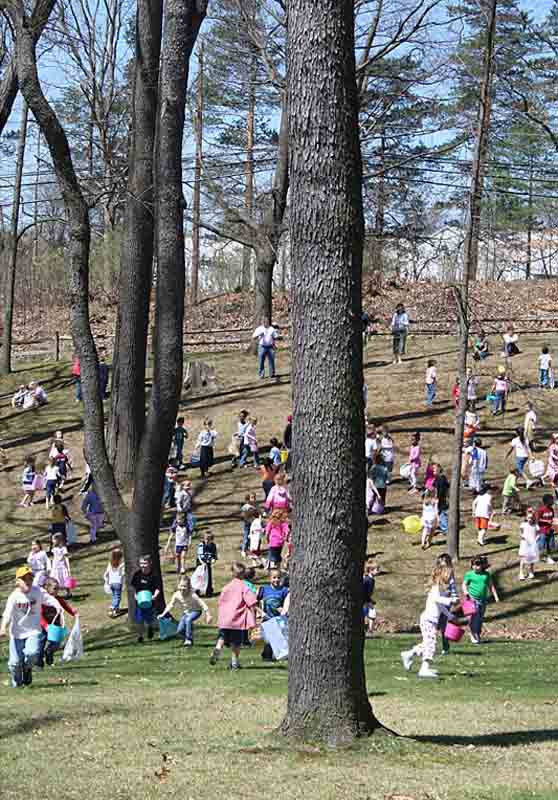 kent-egg-hunt-race-2.jpg