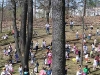 kent-egg-hunt-race-2.jpg