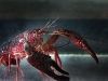 054-Show-Crayfish.jpg