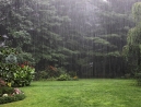 033-rain-2