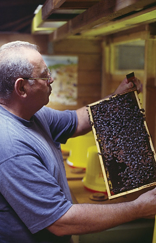 dieter-mit-bienen-rescan.jpg