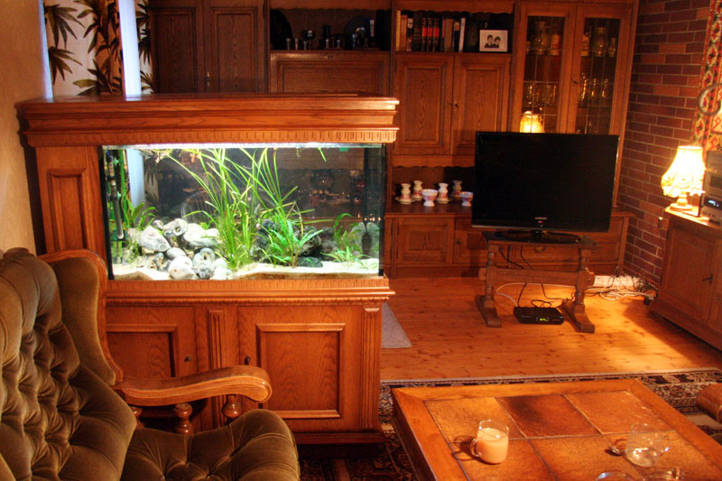 02-fish-tank-in-living-room.jpg