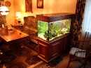 01-fish-tank-in-living-room.jpg