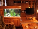 02-fish-tank-in-living-room.jpg