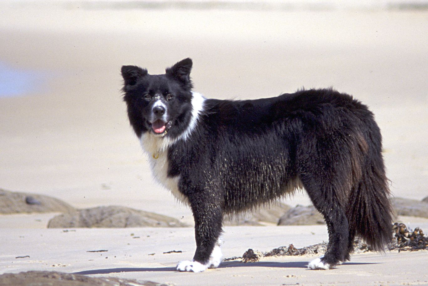 01-Jody on the beach