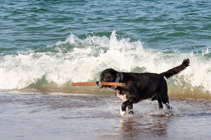 082-Jody-on-beach