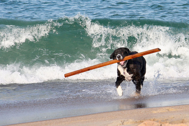 083-Jody-on-beach