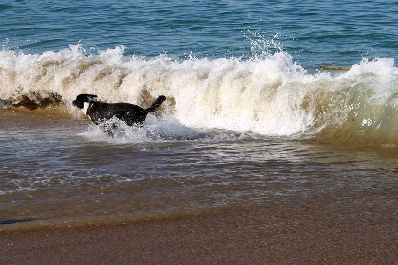 084-Jody-on-beach