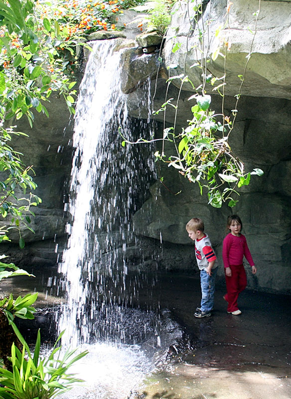 Butterflies-both-with-water.jpg