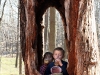 Chippewa-in-tree.jpg