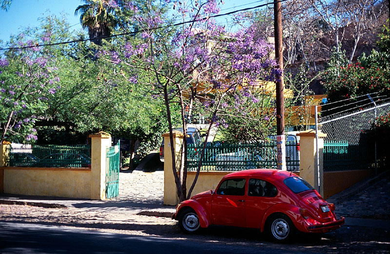 guanajuato-beatle-red.jpg