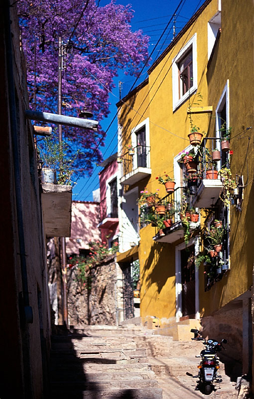 guanajuato-callejon-1.jpg