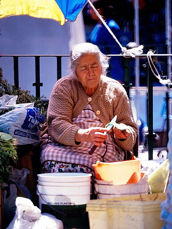 guanajuato-market-woman-2.jpg