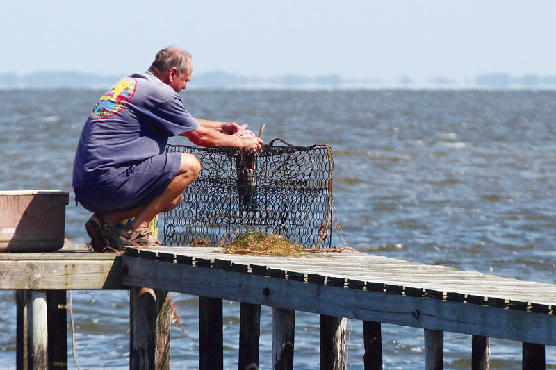 039-Crab-catching.jpg