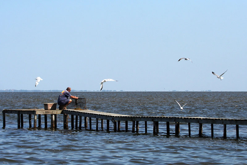 040-Crab-catching.jpg