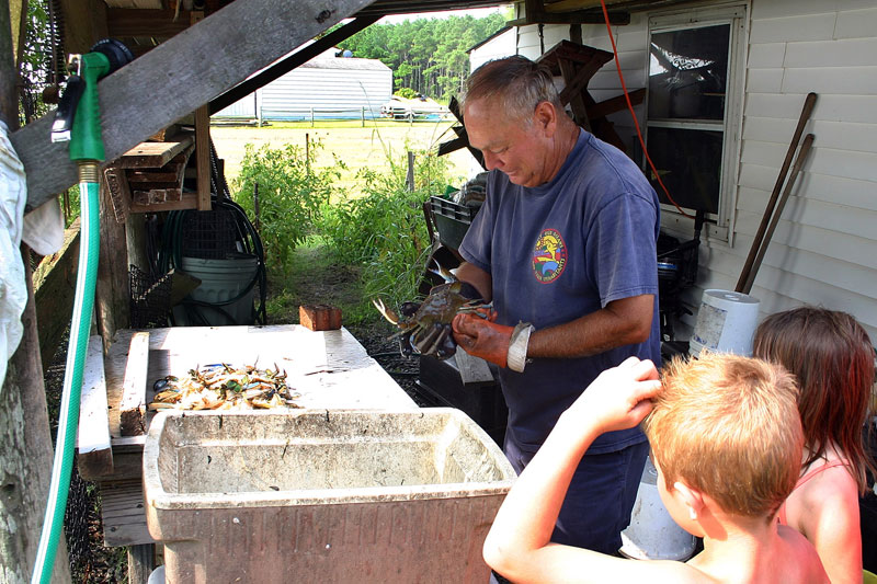 045-Crab-cleaning.jpg