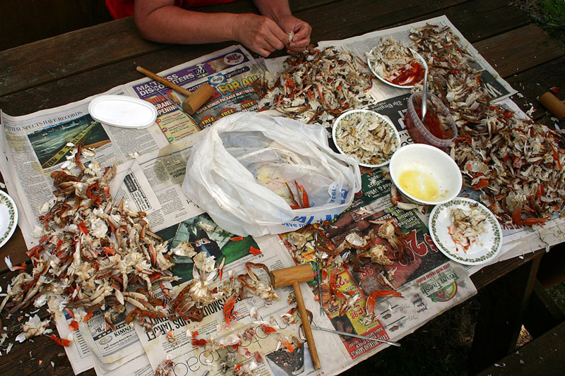 058-Crab-Eating.jpg