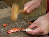 053-Crab-Eating.jpg