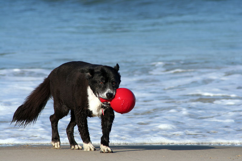 18-Jody-beach.jpg