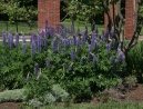 mini-IMG_3074