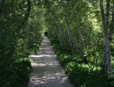 mini-IMG_3080